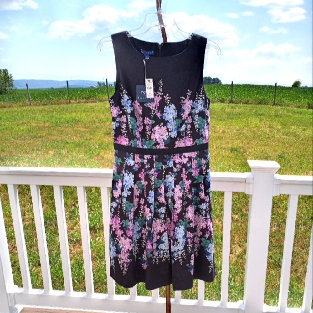 Brand New Talbots Bouquet Print Cotton Dress 8P